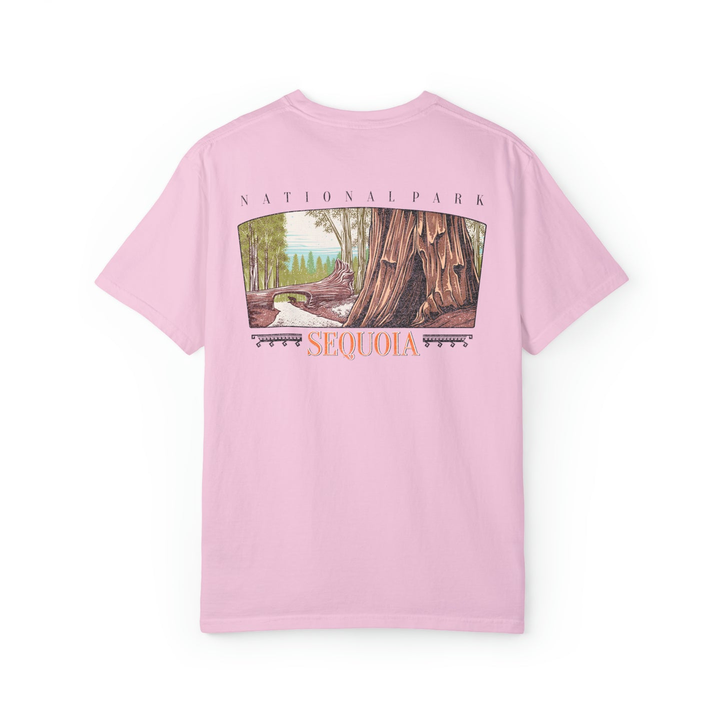 Vintage Sequoia National Park Back Graphic Tee Shirt